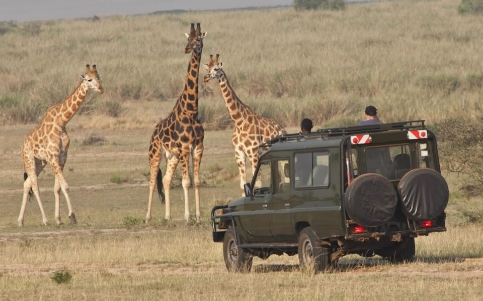 Akagera National Park Game Drive