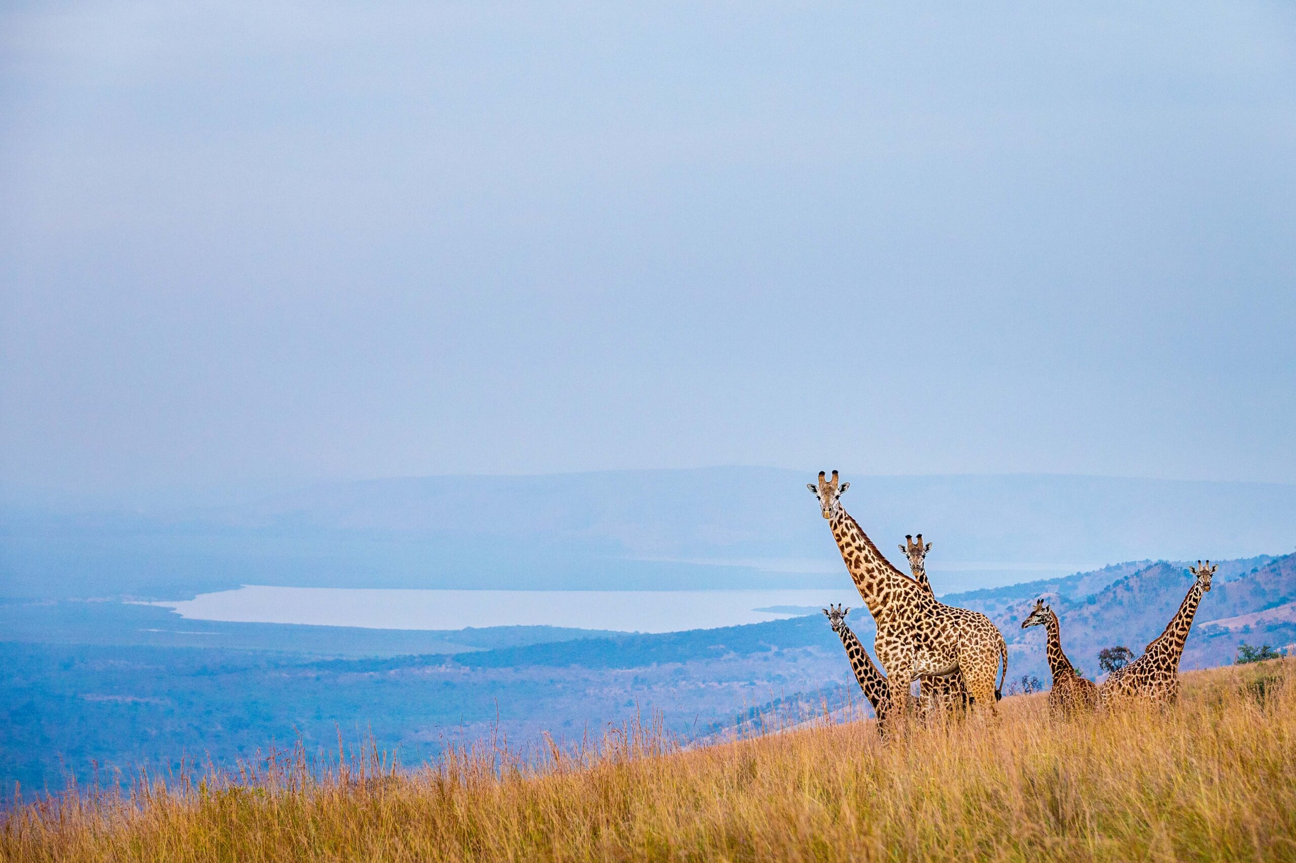 Scenic Akagera National Park Rwanda