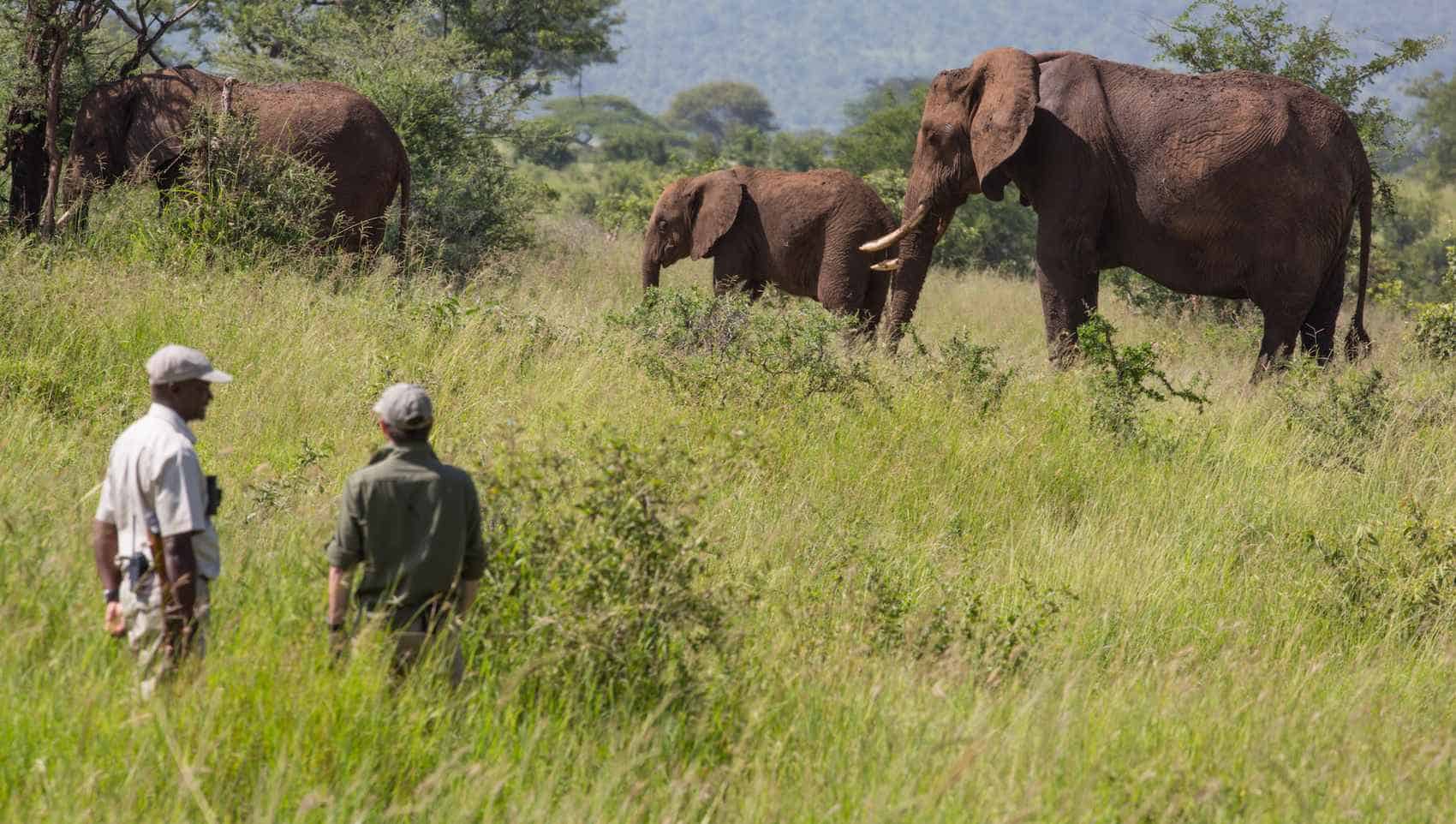 Arusha National Park Walking Safari