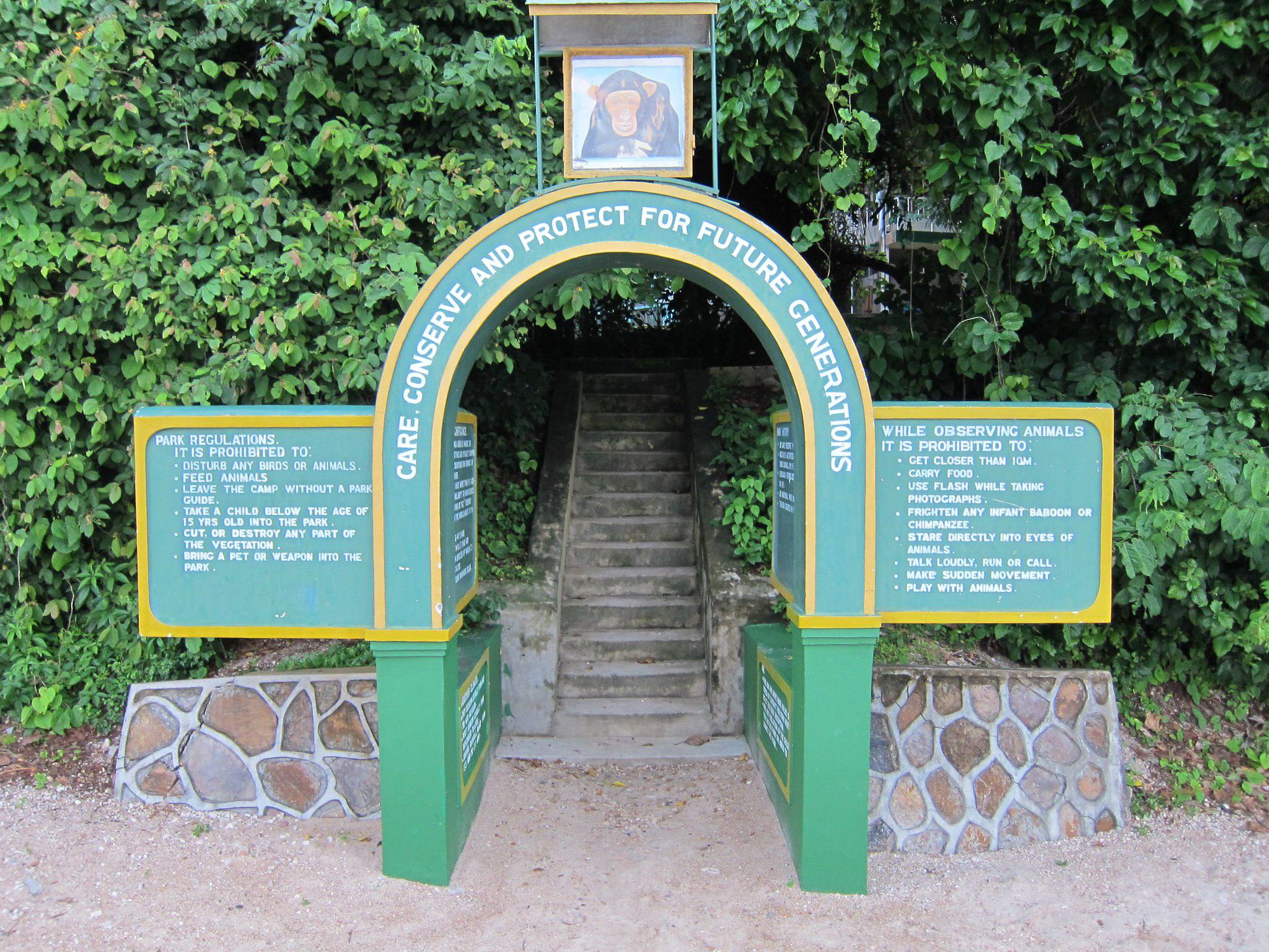 Gombe Stream National Park Tanzania