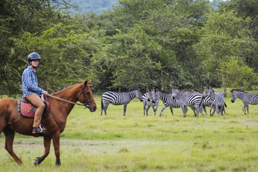 Horseback safaris inside Lake Mburo National Park