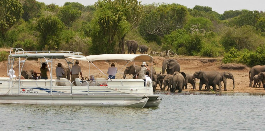 Lake Ihema Boat Safari