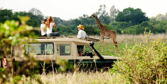 Nairobi National Park Game Drive