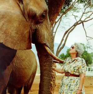 Sheldrick Elephant Orphanage Visit