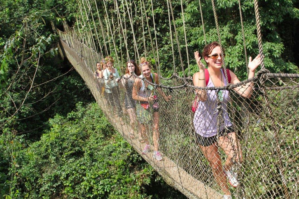 Treetop walkway experience in Tanzania