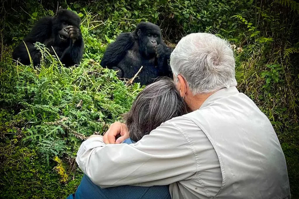 Luxury Gorilla Trekking in Volcanoes National Park Rwanda