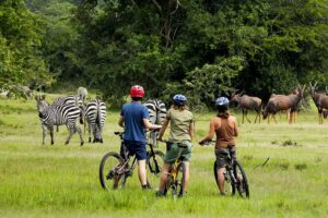 Travelers Cycling in Lake Mburo National Park