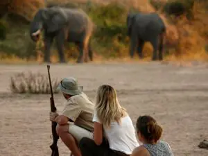 Walking safari experience in Ruaha National Park