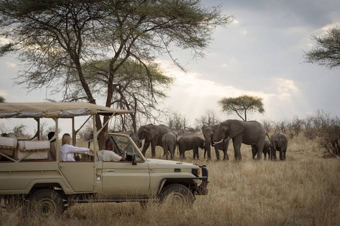Game Drive in Ruaha National Park Tanzania