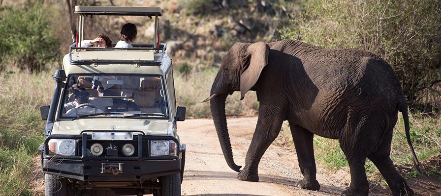 Kidepo Valley National Park Tours