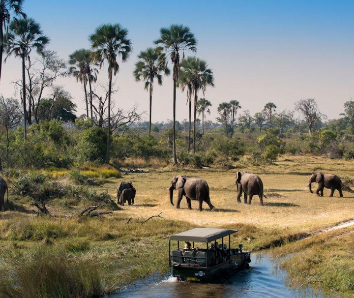 Nyerere National Park Game Drive