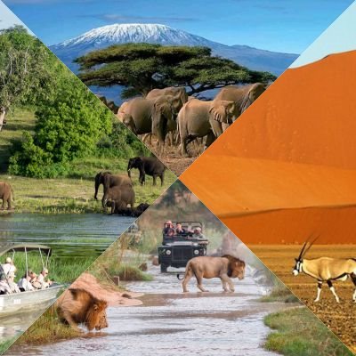 Best Places to go on an Africa Wildlife Safari