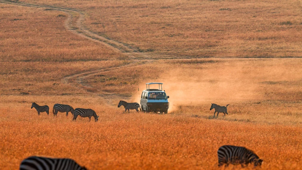 Best Time to Visit Kenya Safari