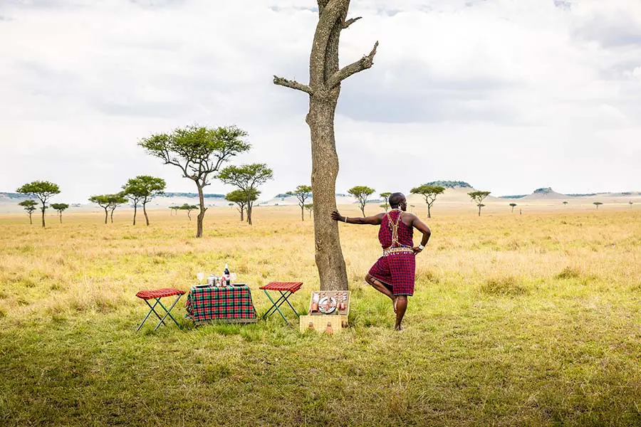 Kenya Wildlife Safari during the dry season