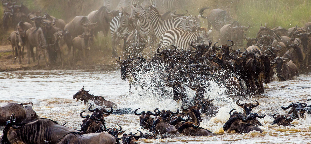 10 Days Tanzania Safari and Zanzibar Holiday