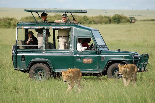 A Typical Serengeti Safari