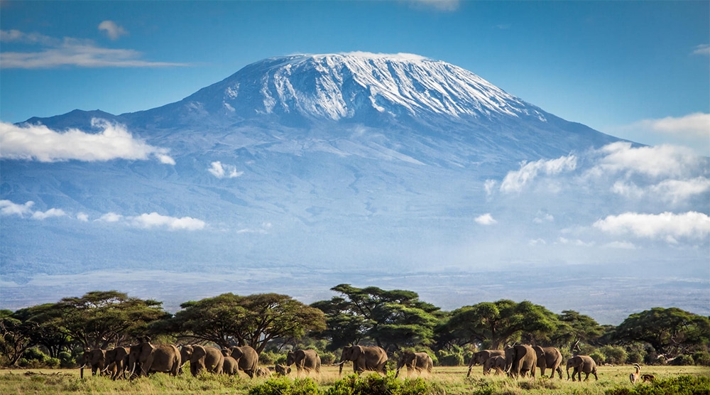 Zanzibar and Tanzania Safaris