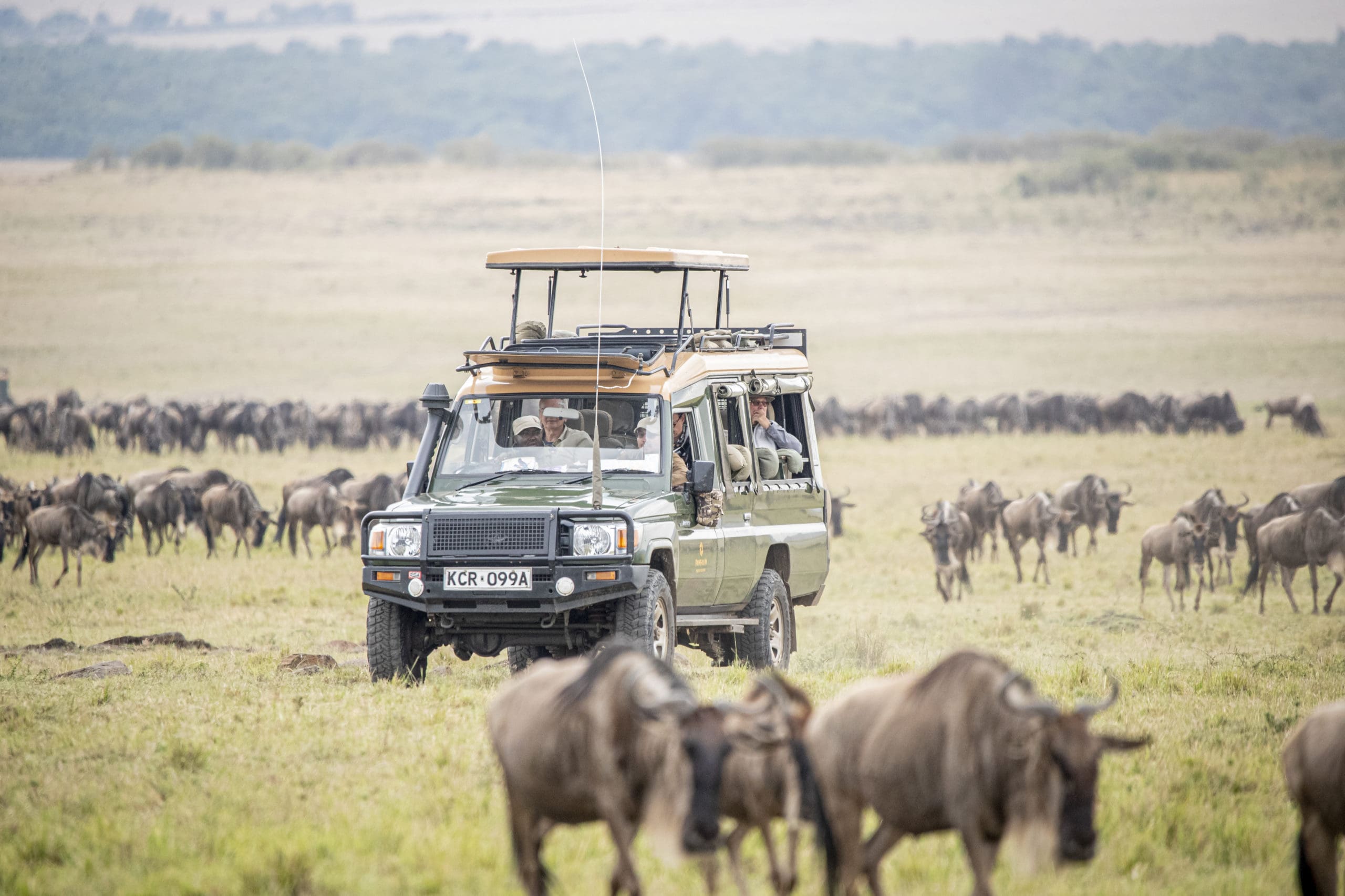 Safari Vehicle Watching wildebeest migration in Masai Mara National Reserve