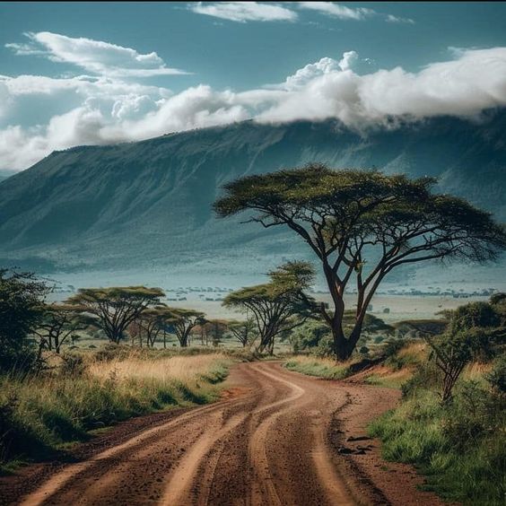 8 Reasons Not to Miss a Visit at the Tarangire National Park