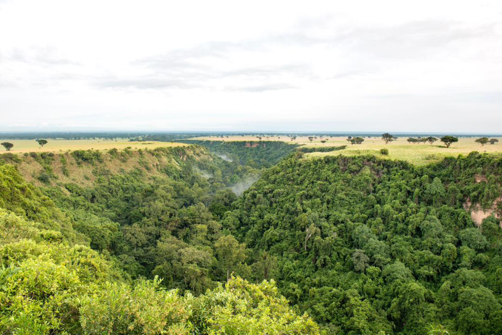 Kyambura Gorge
