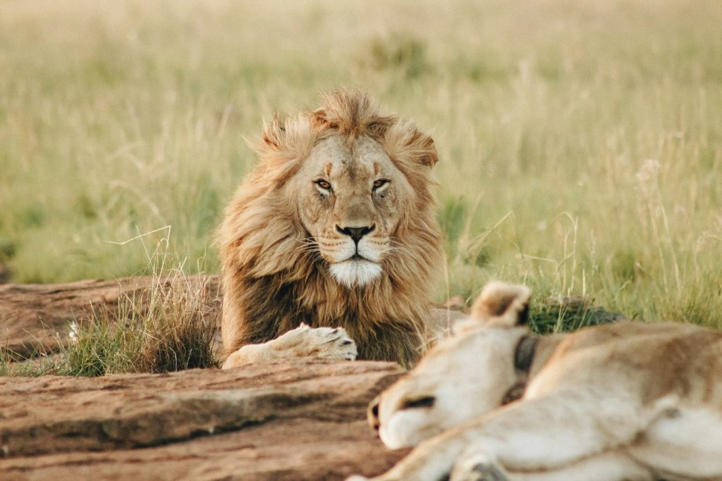 8 Days Tanzania Safari Holiday