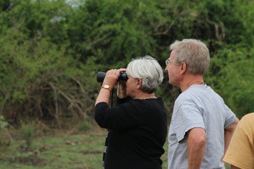 Bird watching safari