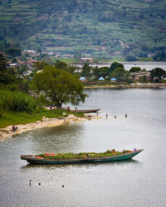 4 Days Gorillas & Lake Kivu Safari