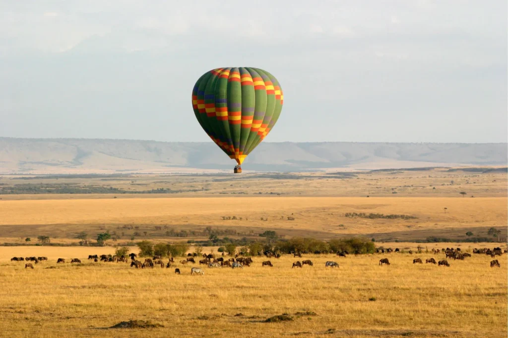 Masai Mara National Reserve balloon safari