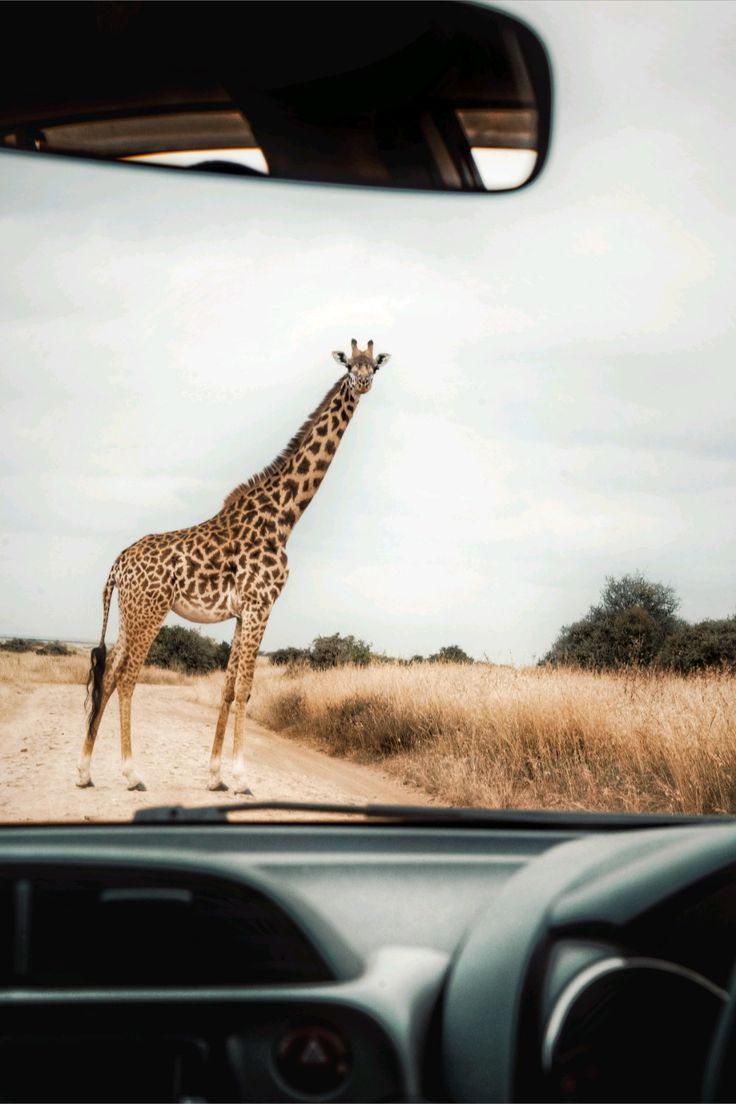 9 Days Rwanda Safari