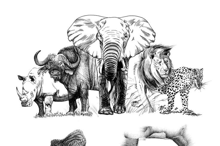 Africa’s Big Five