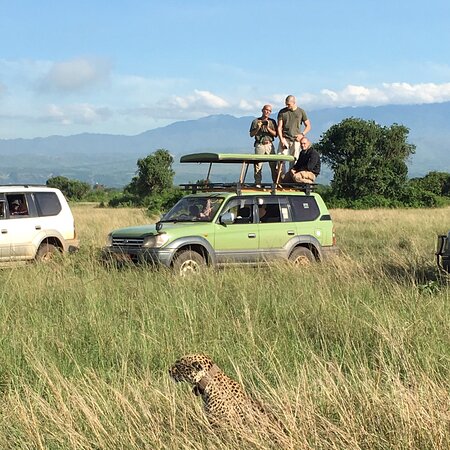 game drive in Queen Elizabeth National Park