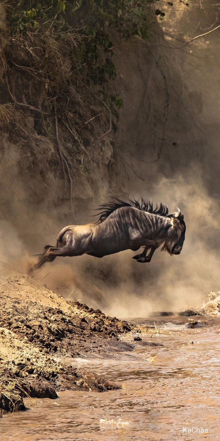 5 Days Serengeti Great Migration Safari