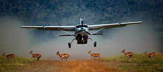 Luxury Kenya Safari Cost determinant