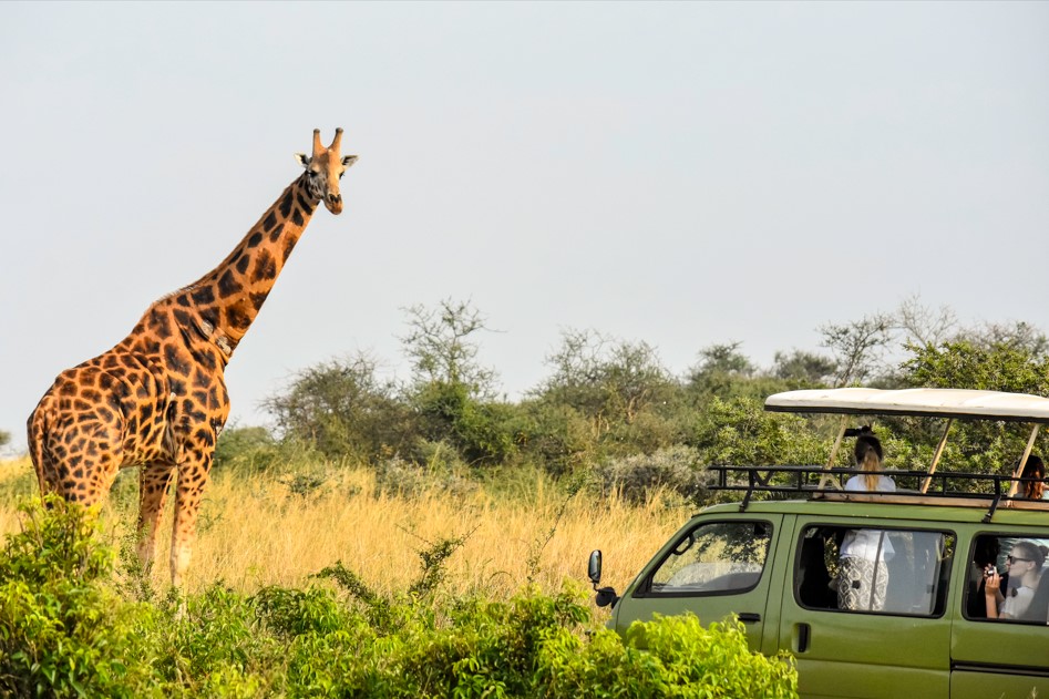 3 Days Murchison Falls National Park Safari