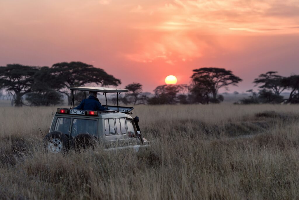 5 Days Best of Tanzania Safari