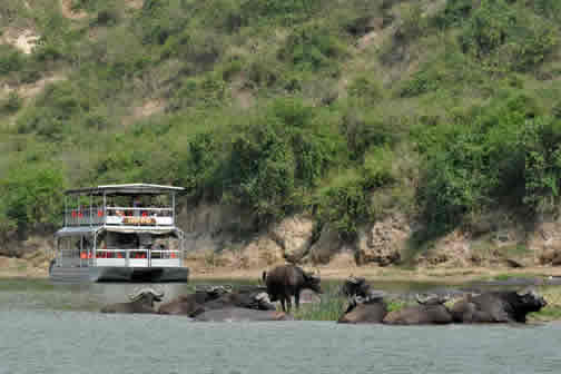 Kazinga Channel Boat Cruise in Queen Elizabeth National Park
