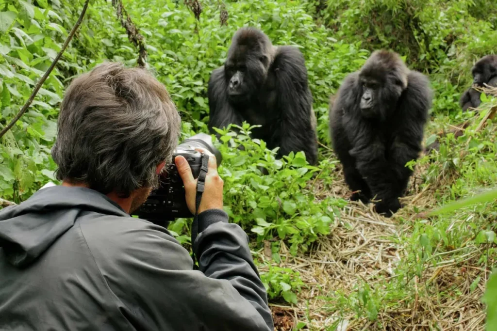 What to Wear For Gorilla Trekking