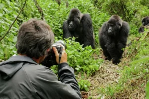 What to Wear For Gorilla Trekking