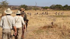 Walking Safari in Lake Manyara National Park