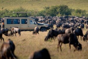 Ndutu migration safari