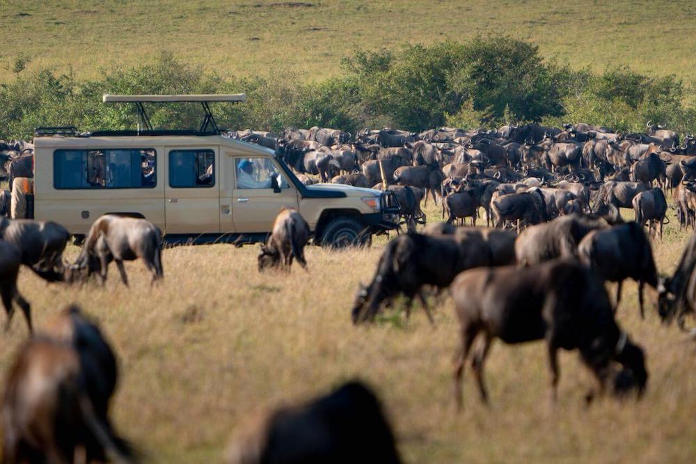 Ndutu calving season safari Tanzania