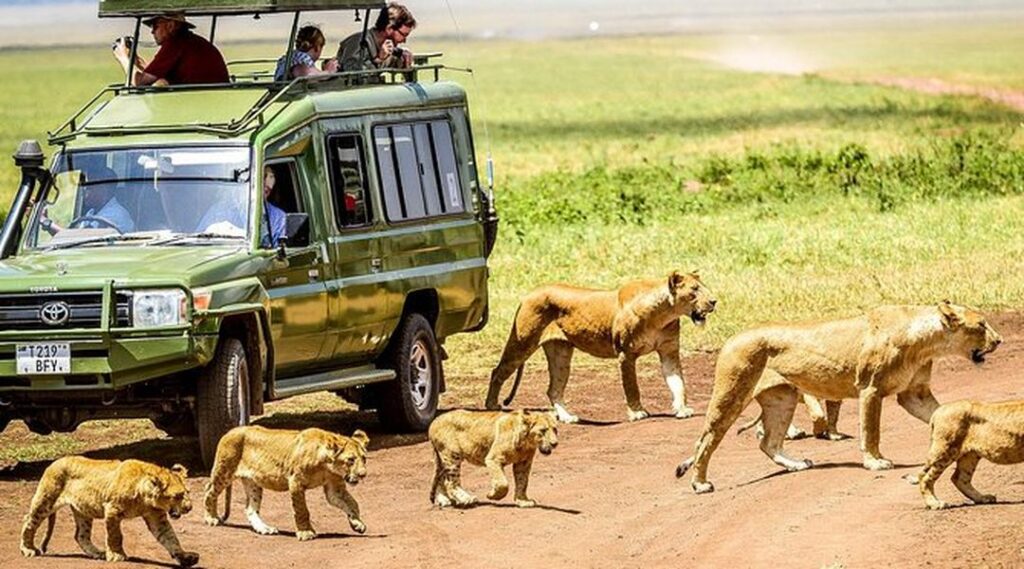 9 Days Tanzania Migration Safari & Lake Natron