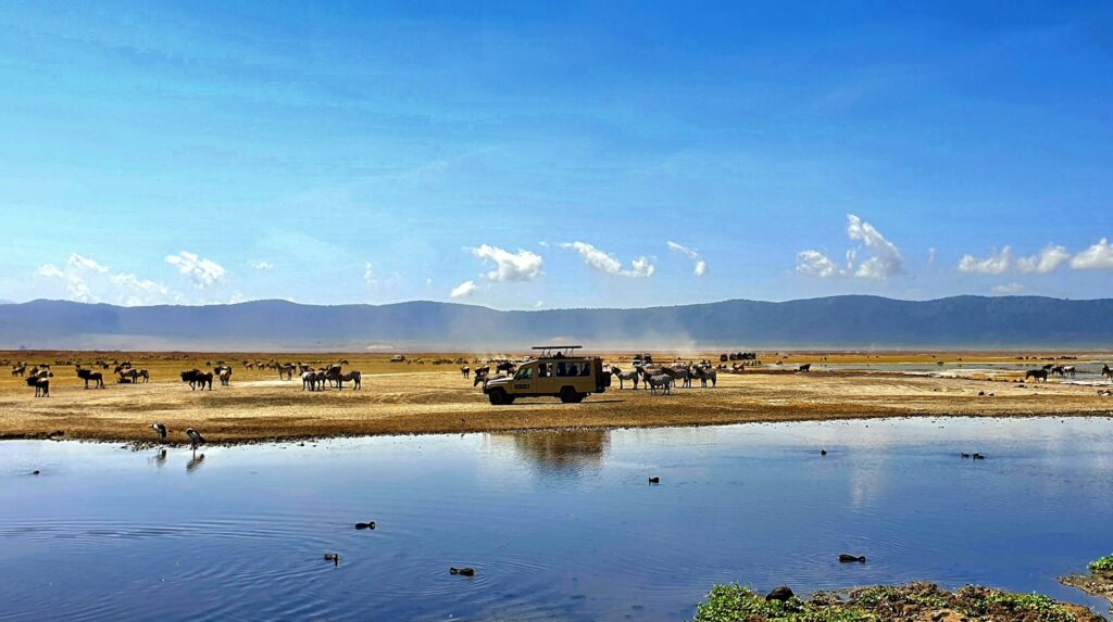 Ngorongoro Crater Wildlife Safari
