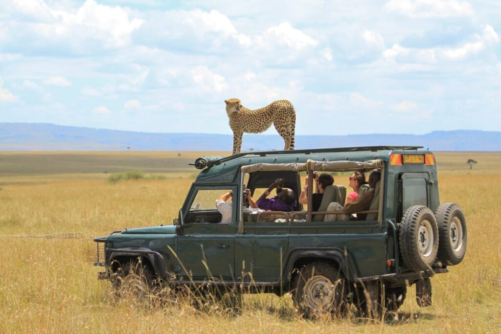 Tanzania Wildlife Safari & Natron