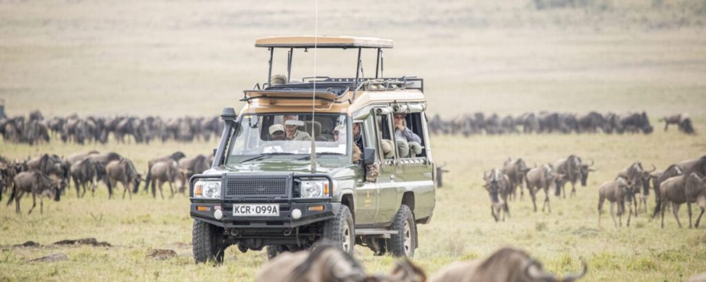 Masai Mara Migration Safari
