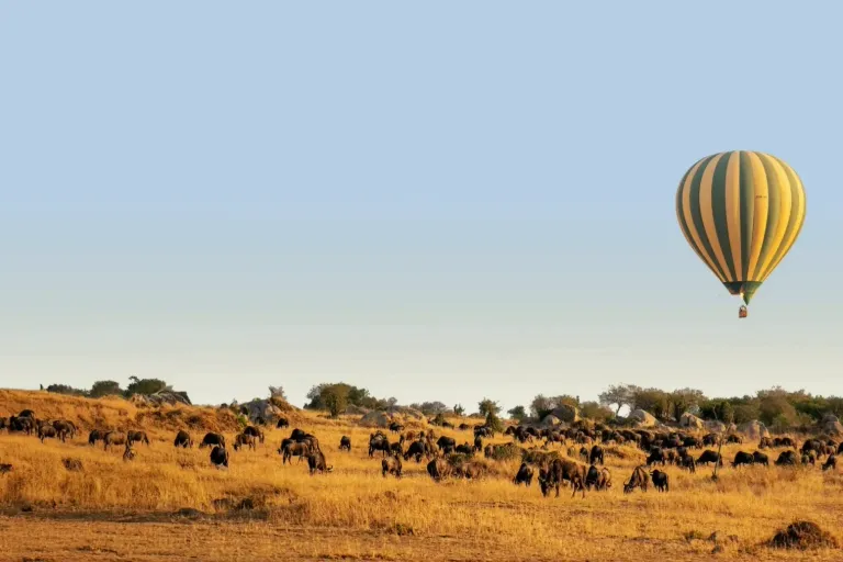 Hot air balloon floating at sunrise over the open plains of the Serengeti - 9 Days Tanzania Migration & Bwindi Gorilla Safari