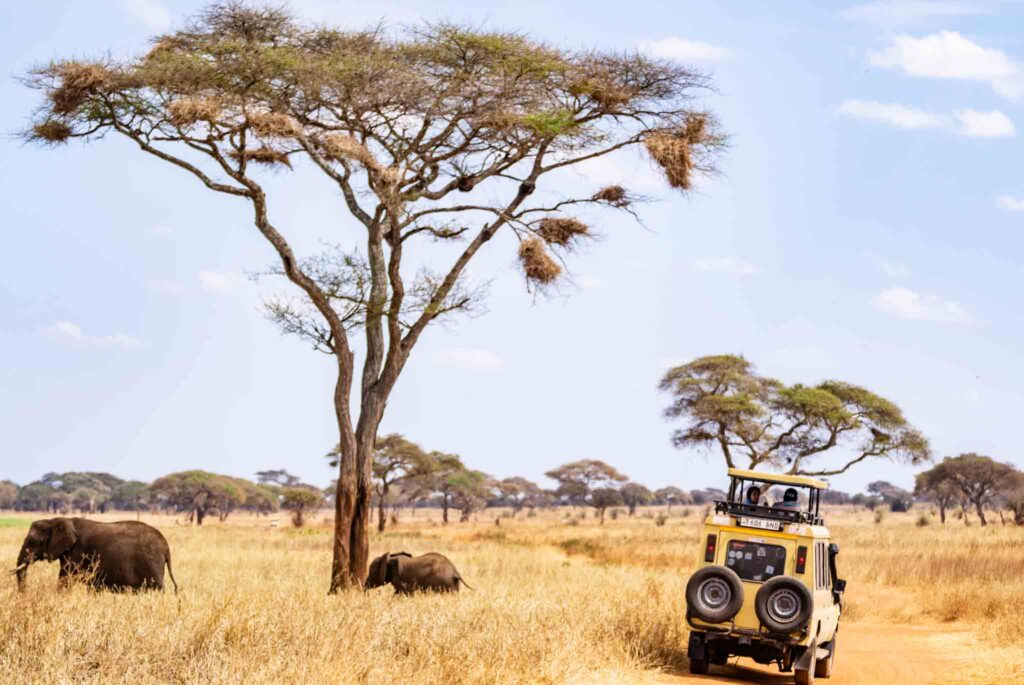 3 Days Tarangire National Park Safari
