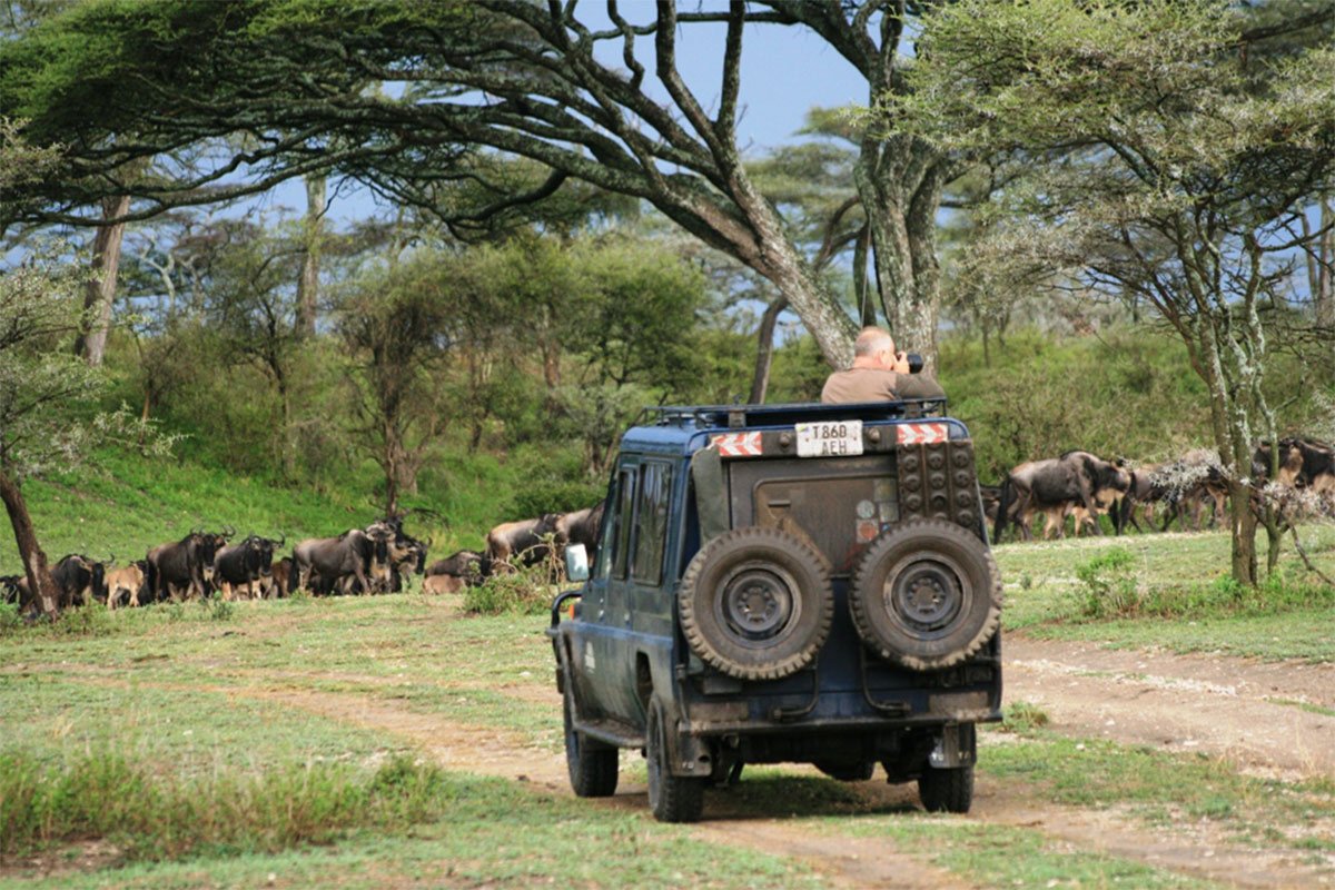 western serengeti migration safari
