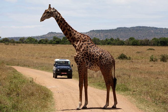 Kenya Wildlife Safari - 3-Day Ol Pejeta Conservancy Safari