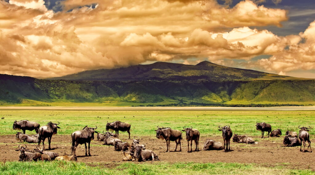 Scenic views during a 1 Day Ngorongoro Crater Safari with Rowin Africa Safaris